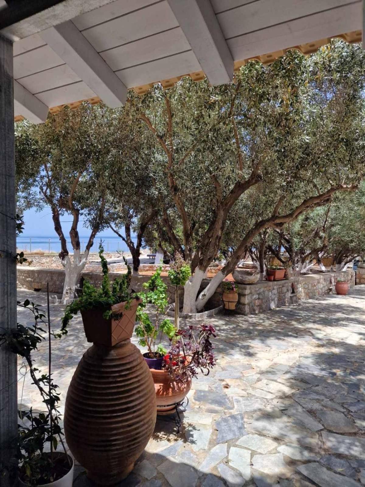 Ktima Zaxarias Hotel Kokkala Eksteriør billede