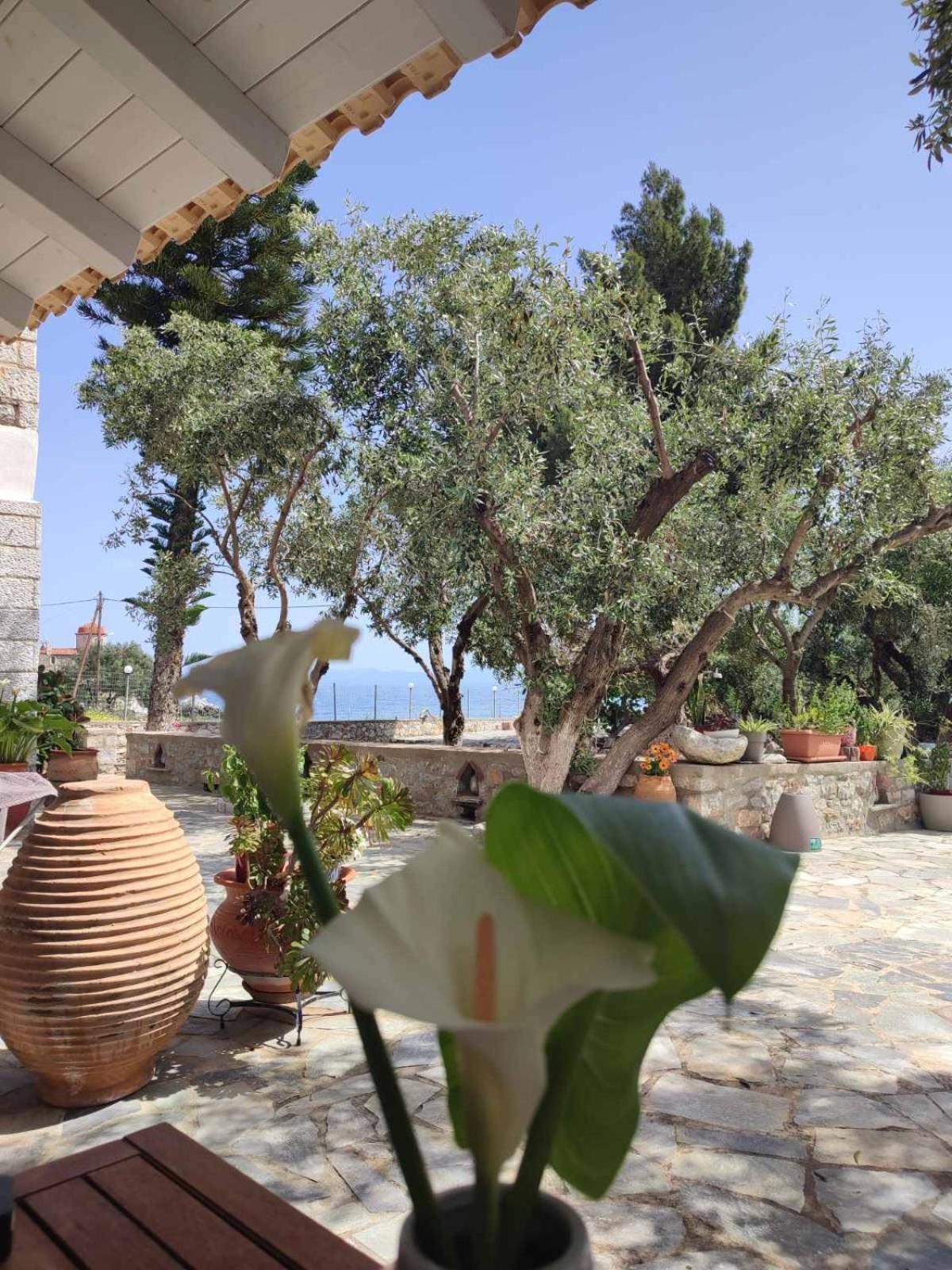 Ktima Zaxarias Hotel Kokkala Eksteriør billede